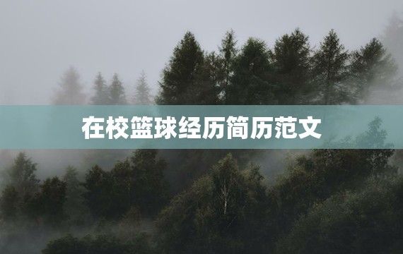 哪里可以找到关于篮球总决赛的训练资料_0